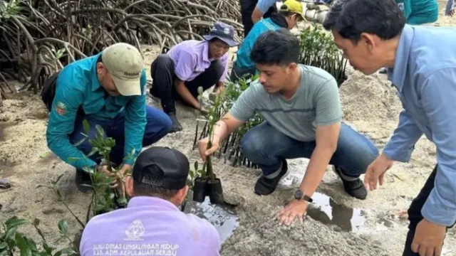 50-Tukik-Dilepas-500-Mangrove-Ditanam-di-Pulau-Sabira