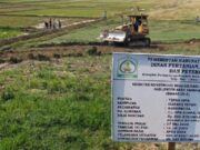 70 Pompa Irigasi Dihidupkan, Sawah Rusak Sedang Siap Tanam