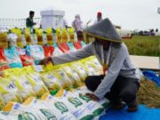 7,7 Juta Ton Beras Pemerintah Disalurkan untuk Rakyat