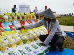 7,7 Juta Ton Beras Pemerintah Disalurkan untuk Rakyat