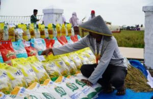 7,7 Juta Ton Beras Pemerintah Disalurkan untuk Rakyat