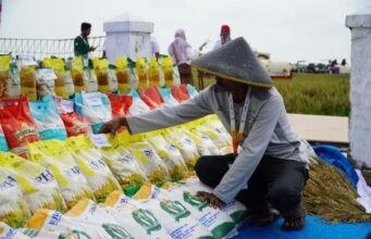 7,7 Juta Ton Beras Pemerintah Disalurkan untuk Rakyat