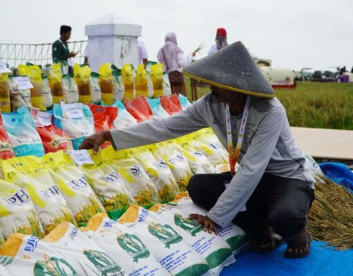 7,7 Juta Ton Beras Pemerintah Disalurkan untuk Rakyat
