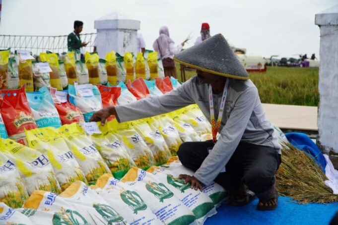 7,7 Juta Ton Beras Pemerintah Disalurkan untuk Rakyat