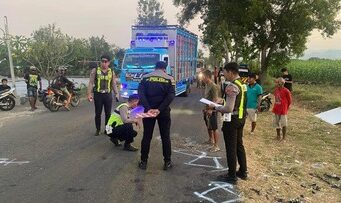 Adu Banteng di Wonogiri, Tiga Nyawa Melayang