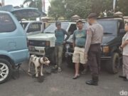 Anjing Pemburu Tewaskan Bocah 9 Tahun di Bogor