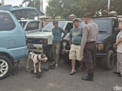 Anjing Pemburu Tewaskan Bocah 9 Tahun di Bogor