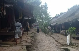 Babi Hutan dan Monyet Serang Ladang Petani Badui, Kerugian Capai Rp25 Juta