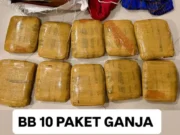 Bareskrim Gagalkan Pengiriman Ganja Lintas Sumatera-Jawa