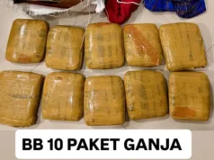 Bareskrim Gagalkan Pengiriman Ganja Lintas Sumatera-Jawa