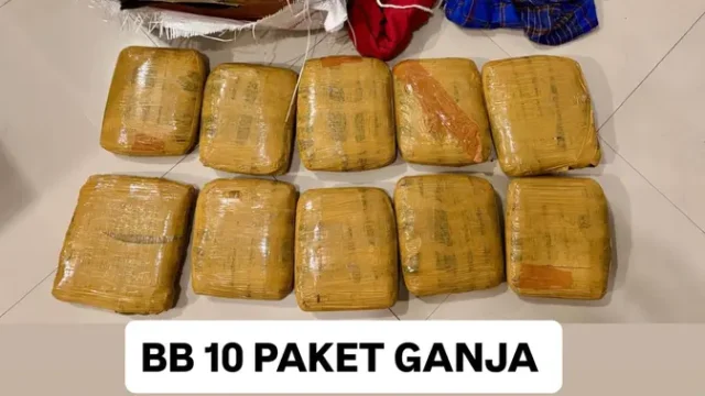 Bareskrim-Gagalkan-Pengiriman-Ganja-Lintas-Sumatera-Jawa