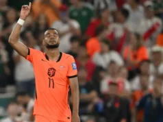 Belanda Tersingkir, Van der Vaart: Performa Buruk Layak Dapat Hukuman