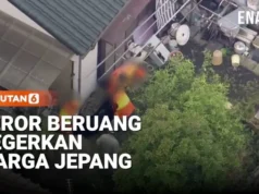 Beruang Liar Meneror Permukiman dan Kampus di Jepang