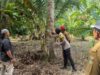 Beruang Masuk Kebun, Petani Lampung Gelisah