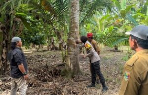 Beruang Masuk Kebun, Petani Lampung Gelisah