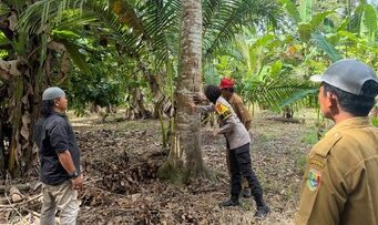 Beruang Masuk Kebun, Petani Lampung Gelisah