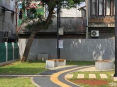 Bocah Autisme Dibully hingga Tersetrum di Taman Kramat