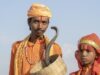 Desa di India yang Hidup Berdampingan dengan Kobra