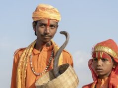 Desa di India yang Hidup Berdampingan dengan Kobra
