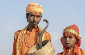 Desa di India yang Hidup Berdampingan dengan Kobra