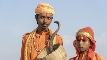 Desa di India yang Hidup Berdampingan dengan Kobra