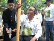 Dua Miliar Pohon untuk Bumi yang Pulih