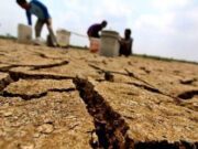 El Nino Terkuat dalam 70 Tahun Mengancam Dunia