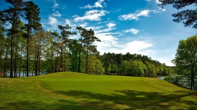 Finlandia-Gelar-Buru-Emas-Senilai-Rp370-Juta-di-Hutan-Lapland