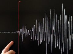 Gempa M5,6 Guncang Laut Banggai, Luwuk Rasakan Getaran Keras