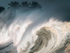 Gempa M7,7 Picu Peringatan Tsunami di Sulawesi Utara