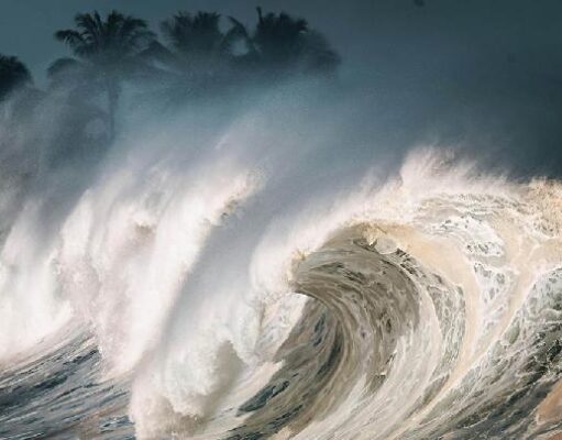 Gempa M7,7 Picu Peringatan Tsunami di Sulawesi Utara