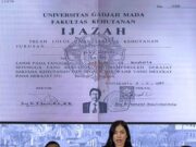 Ijazah Jokowi, Simbol Perjuangan Bukan Sekadar Kertas