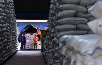 Indonesia Puncaki Produksi Beras Asia Tenggara, Peringkat Empat Dunia