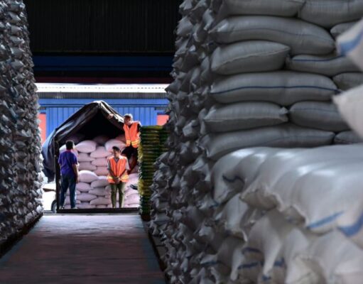 Indonesia Puncaki Produksi Beras Asia Tenggara, Peringkat Empat Dunia