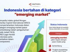 Indonesia Tetap Bertahan di Kelas Pasar Berkembang