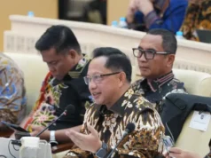 Isu Dua Desa Lepas ke Malaysia Tak Benar, Mendagri Beri Penjelasan