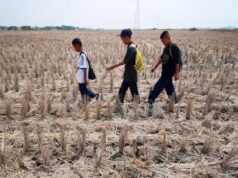 Jawa Barat Masuki Musim Kemarau, 39 Persen Wilayah Kekeringan