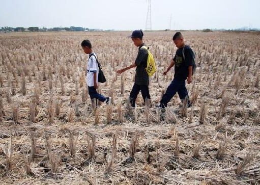 Jawa Barat Masuki Musim Kemarau, 39 Persen Wilayah Kekeringan