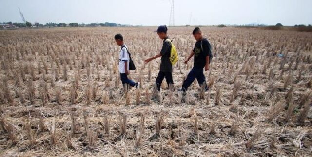 Jawa-Barat-Masuki-Musim-Kemarau-39-Persen-Wilayah-Kekeringan