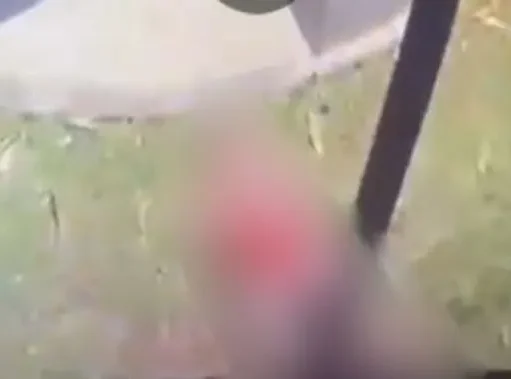KJP Dicabut untuk Pelaku Bully yang Tersetrumkan Bocah
