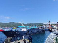 Kapal Penyelundup Ikan Napoleon Dibekuk di Laut Sulawesi