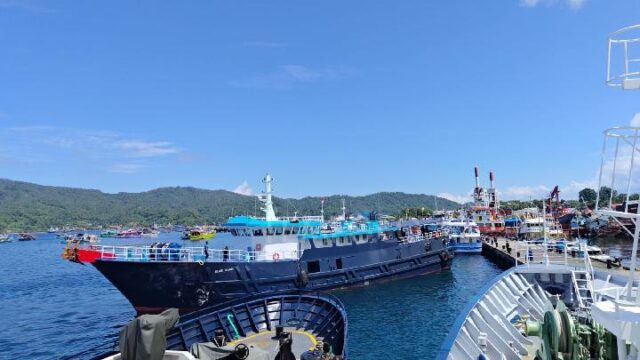 Kapal Penyelundup Ikan Napoleon Dibekuk di Laut Sulawesi