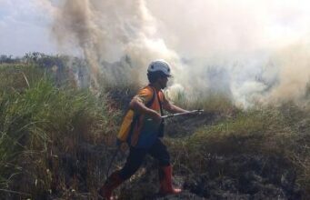 Karhutla Hanguskan 8,3 Hektare di Kalsel dan Jateng