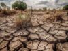 Kemarau Meluas, Selatan Indonesia Kekeringan Meningkat