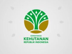 Kemenhut Gagalkan Penyelundupan Owa Jawa dan Biawak Tiga Warna ke Oman