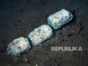 Kuburan Paus Purba Terdalam di Dunia Terungkap di Samudra Hindia