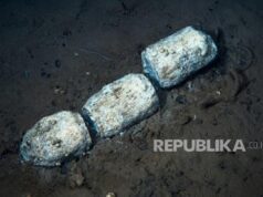 Kuburan Paus Purba Terdalam di Dunia Terungkap di Samudra Hindia