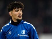 Laurin Ulrich, Calon Baru Naturalisasi Timnas Indonesia