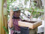 Madu Trigona Jadi Tulang Punggung Desa Berkelanjutan