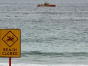 Pantai Coogee Kembali Dibuka Setelah Serangan Hiu